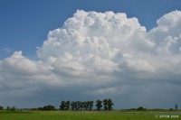 /album/%e5%a4%8f/a1-21-1-jpg/